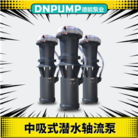 中吸式軸流泵 天津潛水泵