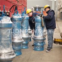 900QZB-280KW內蒙古雨水泵站潛水軸流泵 一體化泵站