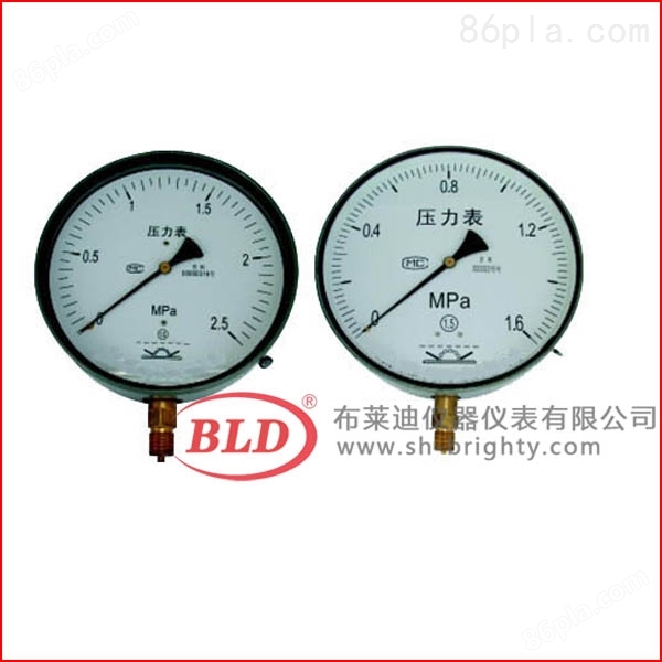 上海布莱迪Y-250.AO.106一般压力表