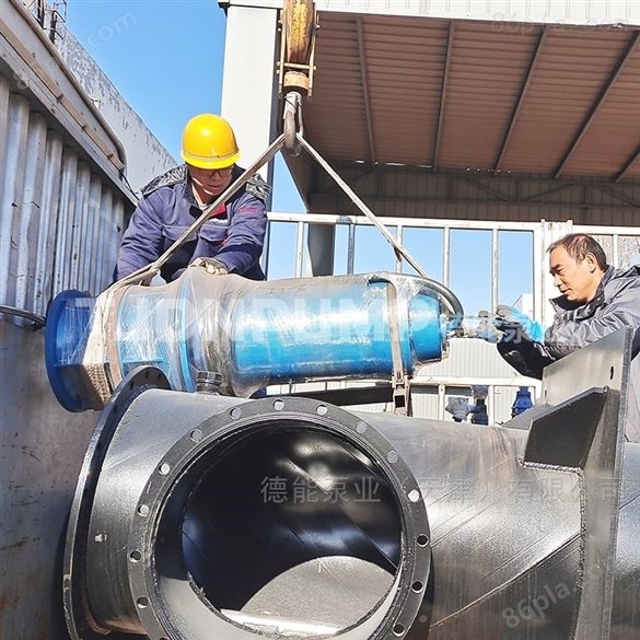 900QZ-70潜水轴流泵_qz厂家 一体化泵站